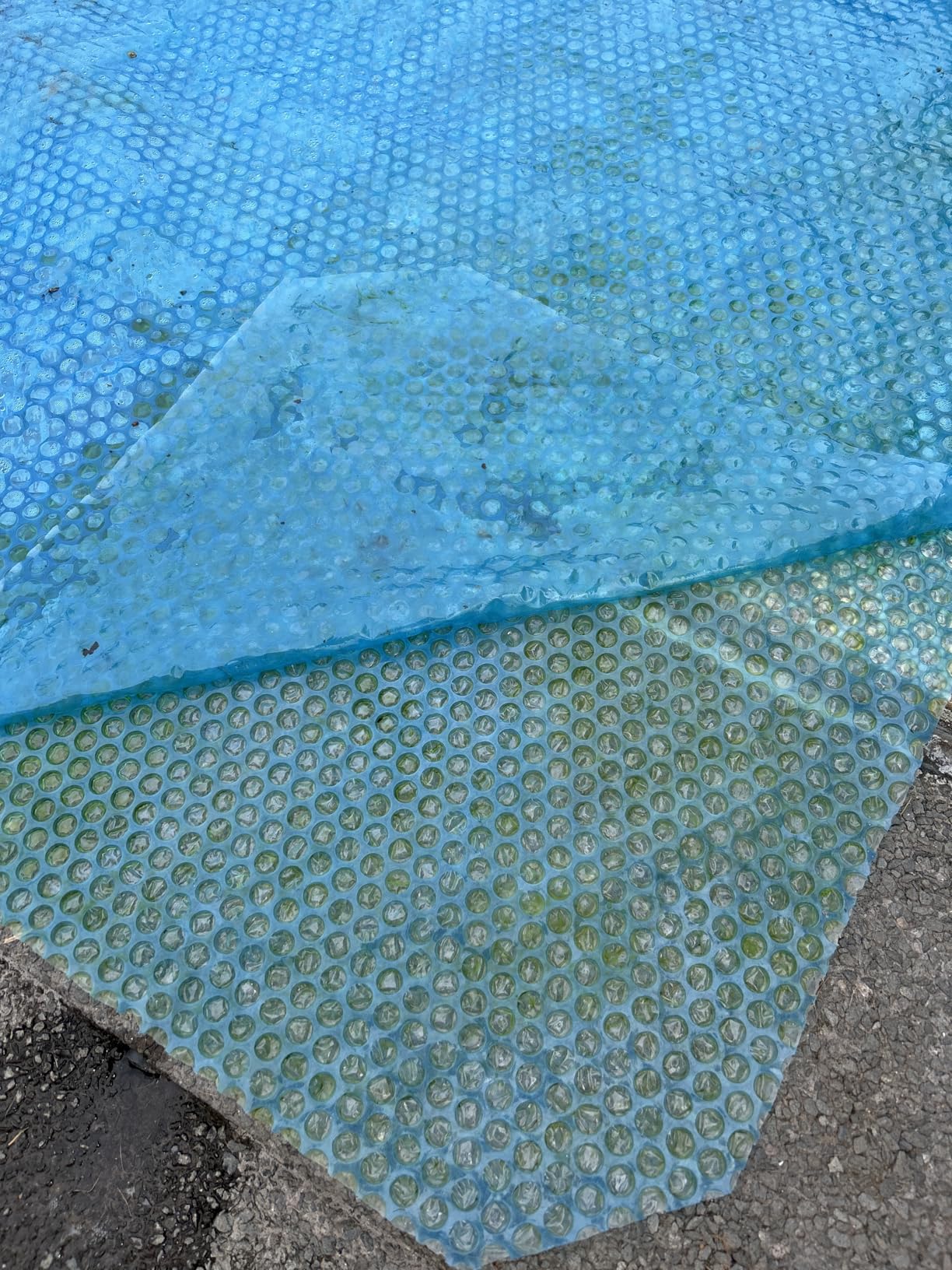Wiltec copertura piscina isotermica 4x6 m blu bolle 140µ