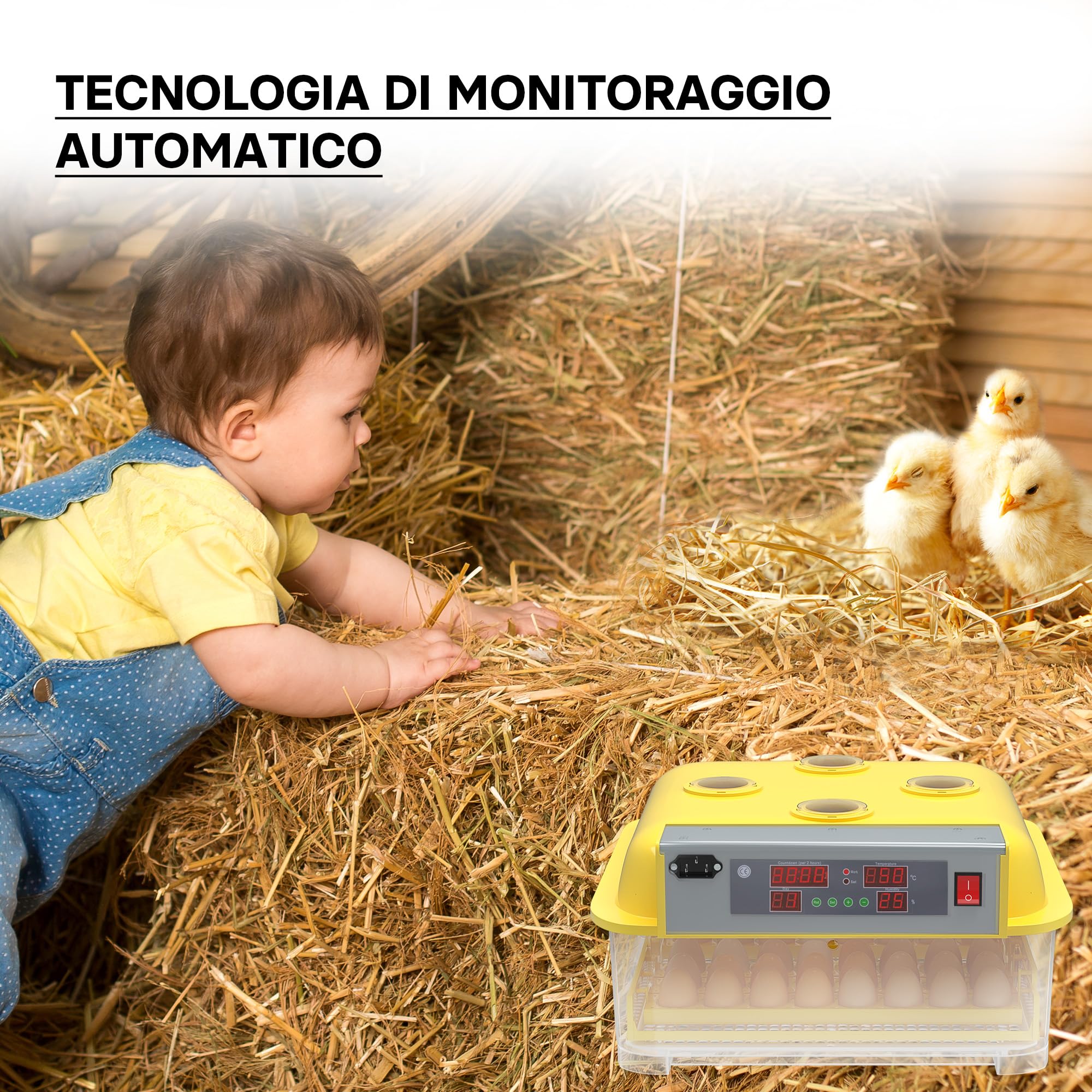 Wiltec Incubatrice automatica 48 uova temperatura umidità