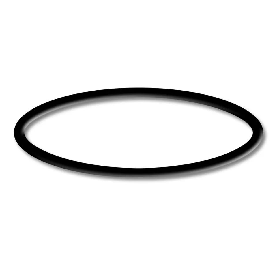Wiltec O-ring 6 ricambio pompa piscina 50919