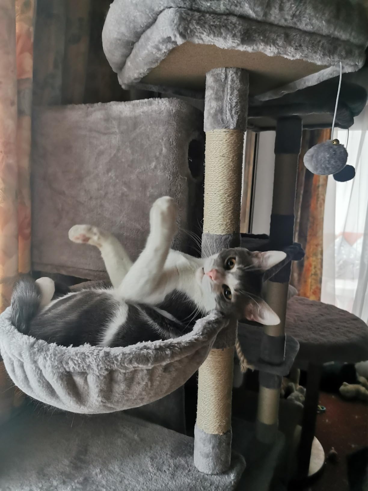 Fudajo Albero tiragraffi gatti 198 cm grigio sisal amache