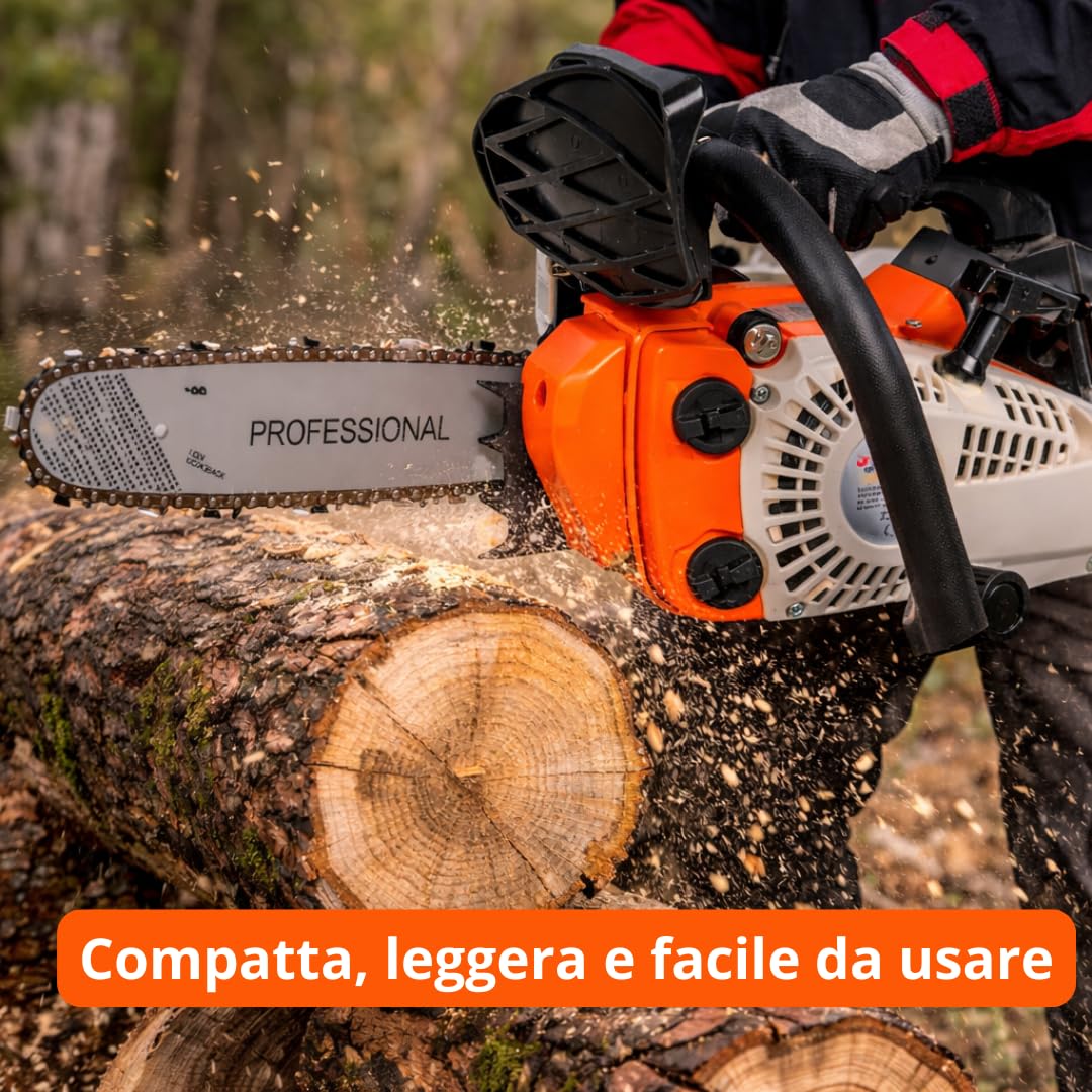 De Rosa Shop 25cc Motosega a Scoppio Lama 25 cm Potatura