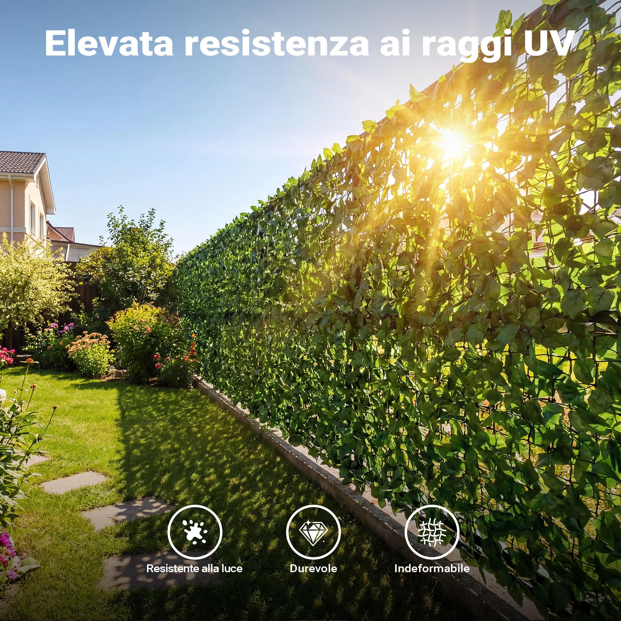 Wiltec Siepe artificiale edera 300x150 cm frangivista