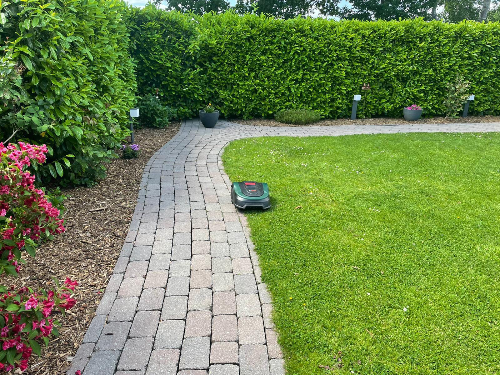 Bosch Indego M+ 700 robot tagliaerba 700 m² smart
