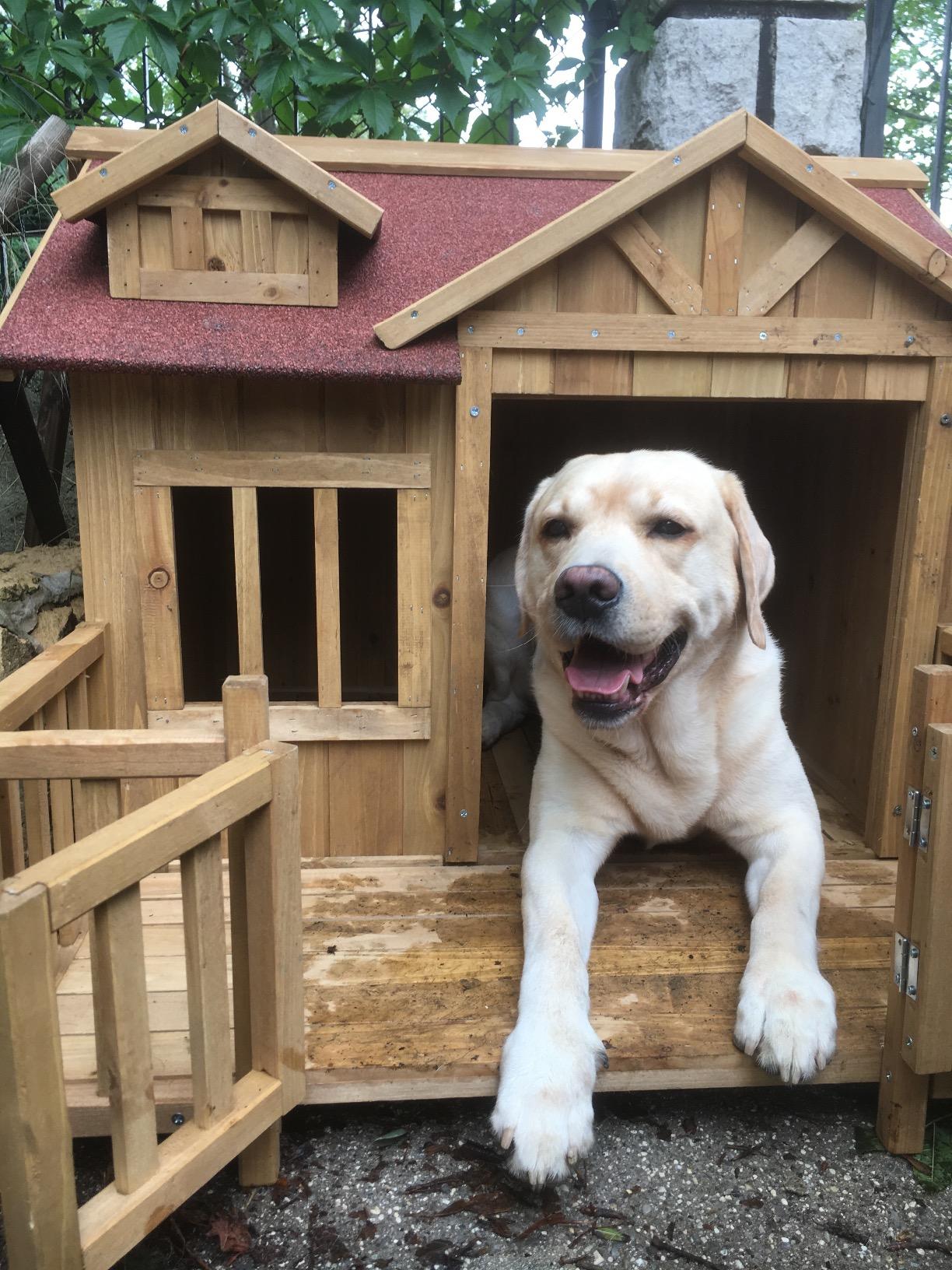 Wiltec Cuccia Cani XL in Legno Marrone con Terrazza