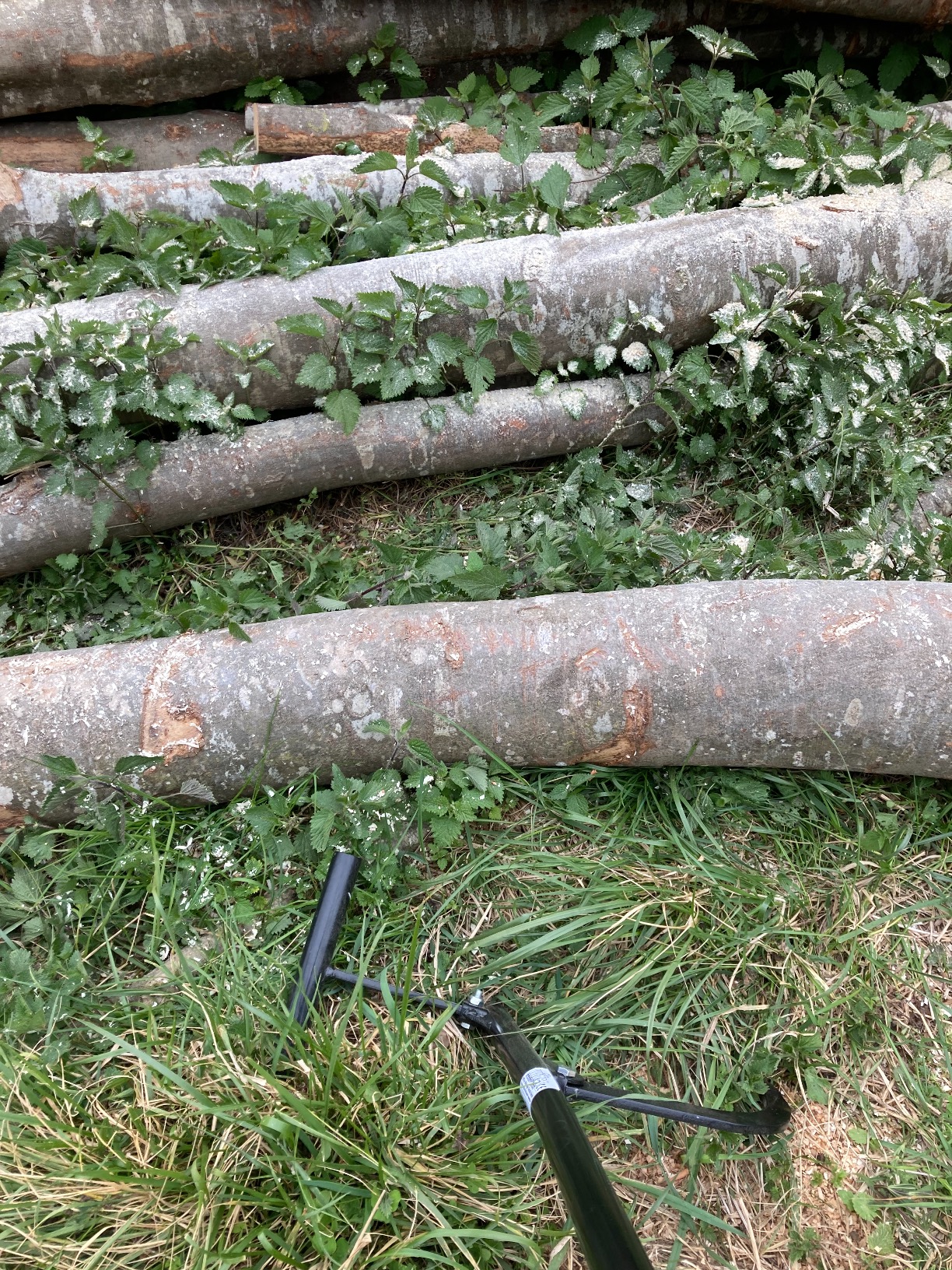 Wiltec Sollevatore Tronchi 130 cm Ø35 cm con Leva in Acciaio