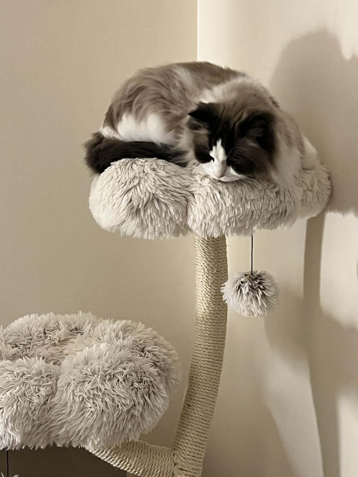Fudajo Albero Tiragraffi Gatti 125 cm Beige 3 Piattaforme