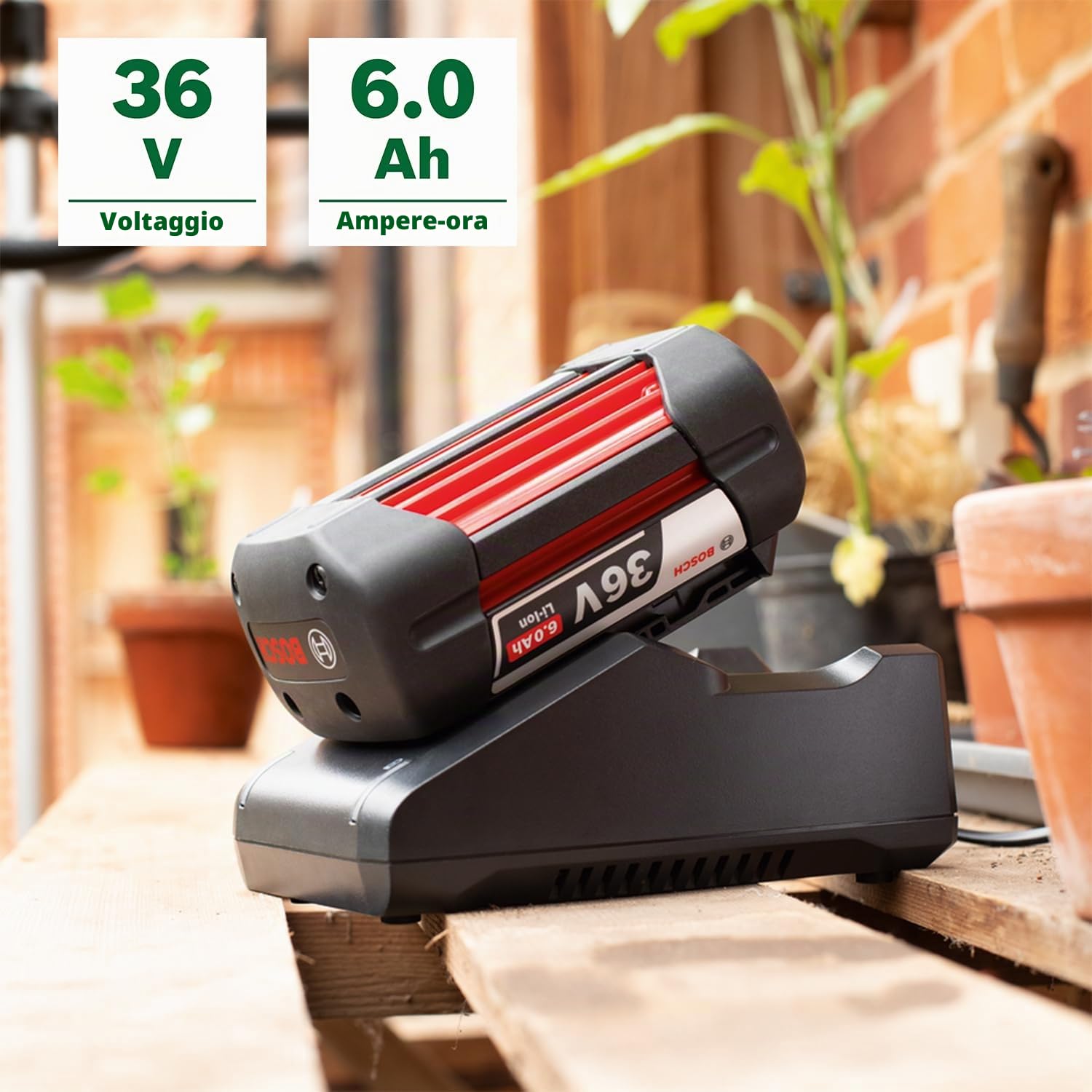 Bosch Starter Set 36V Batteria 6.0Ah + Caricatore AL