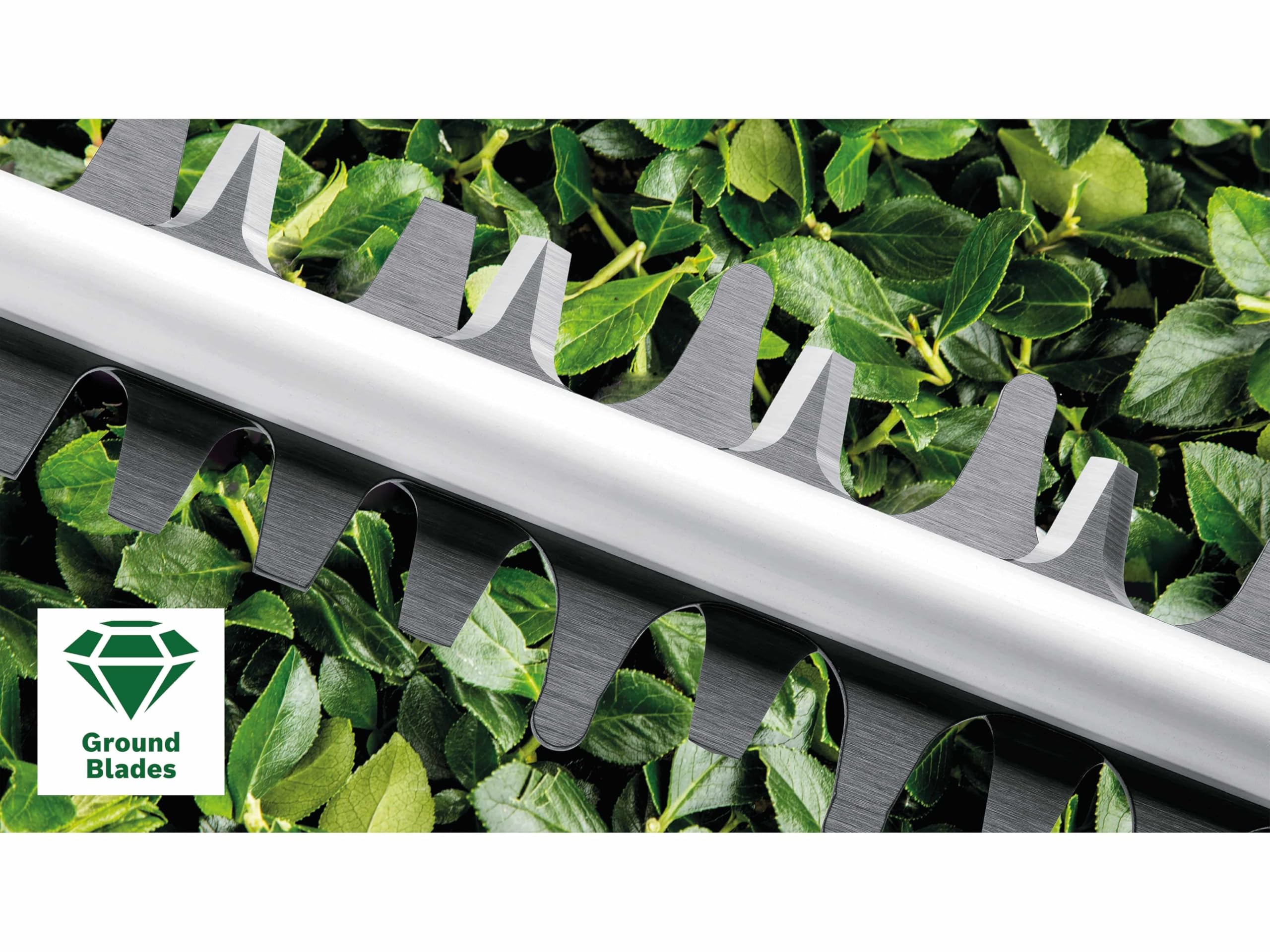 Bosch AdvancedHedgeCut 65 tagliasiepi elettrico 500W lama 65 cm