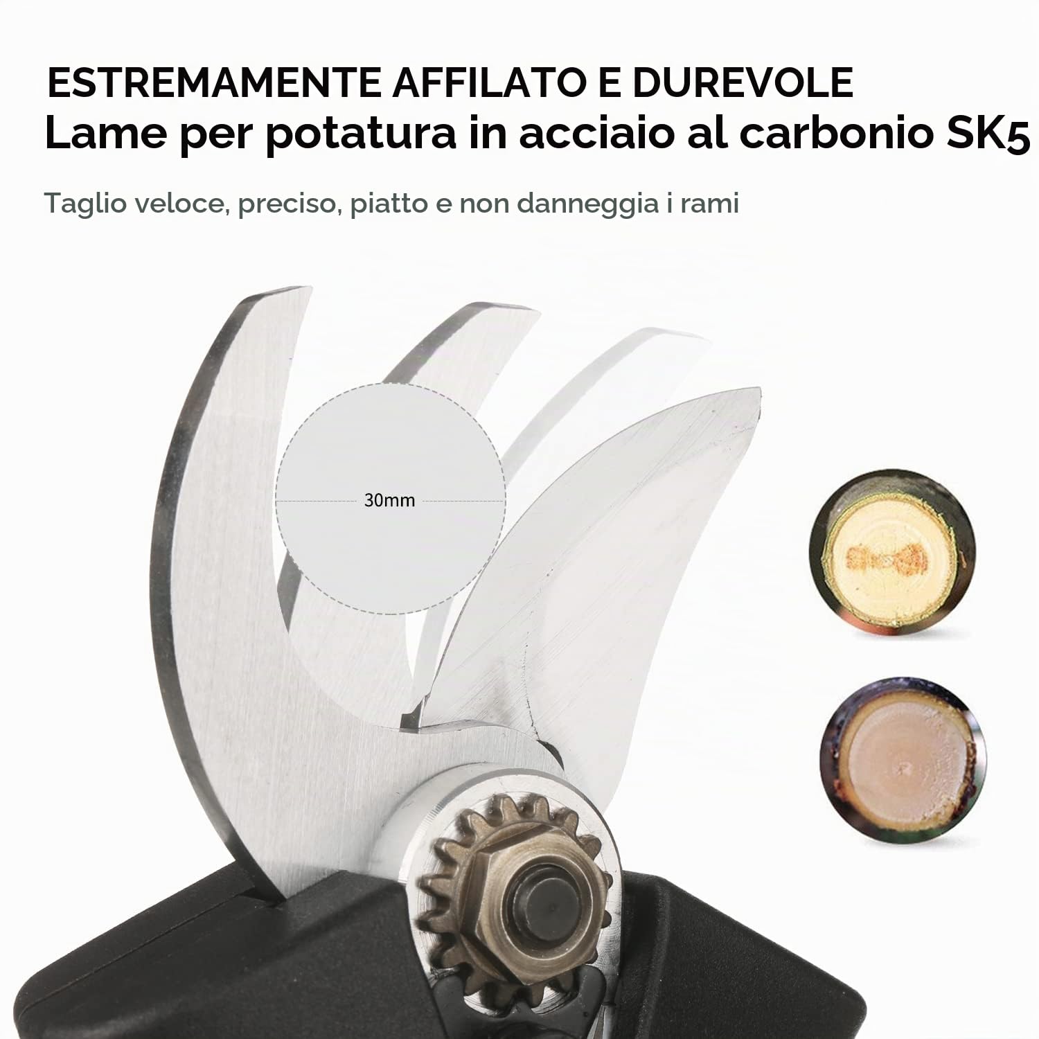 Weytoll forbici potatura elettriche 21V 30 mm 2 batterie brushless