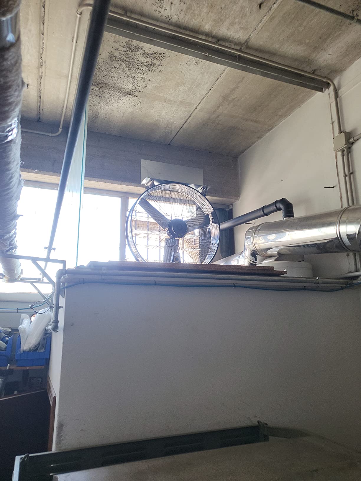 Wiltec Ventilatore industriale 60 cm 180 W 3 velocità